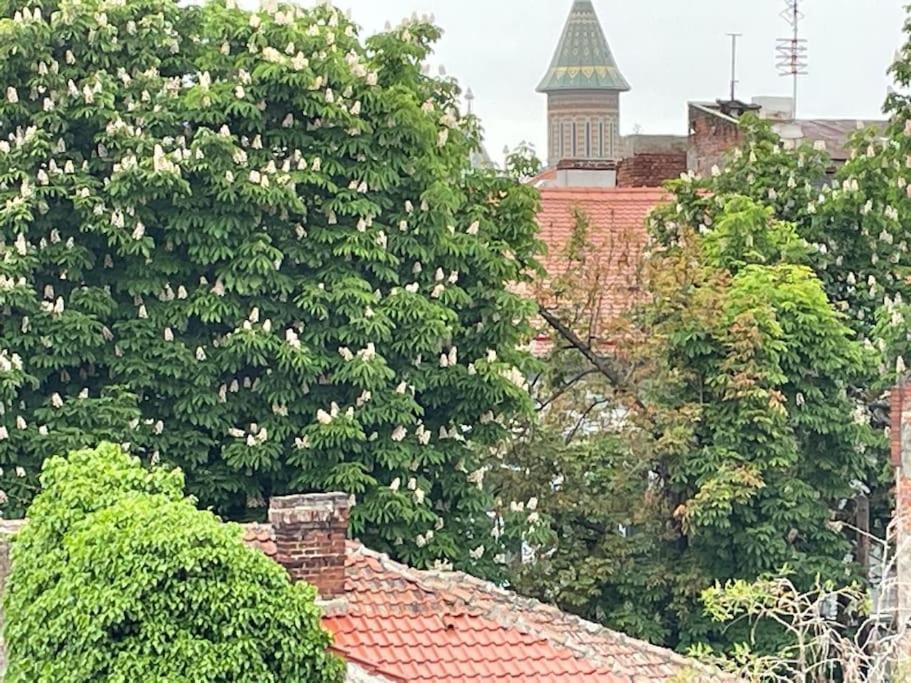 Central, Big Terrace, Near River تيميشورا المظهر الخارجي الصورة