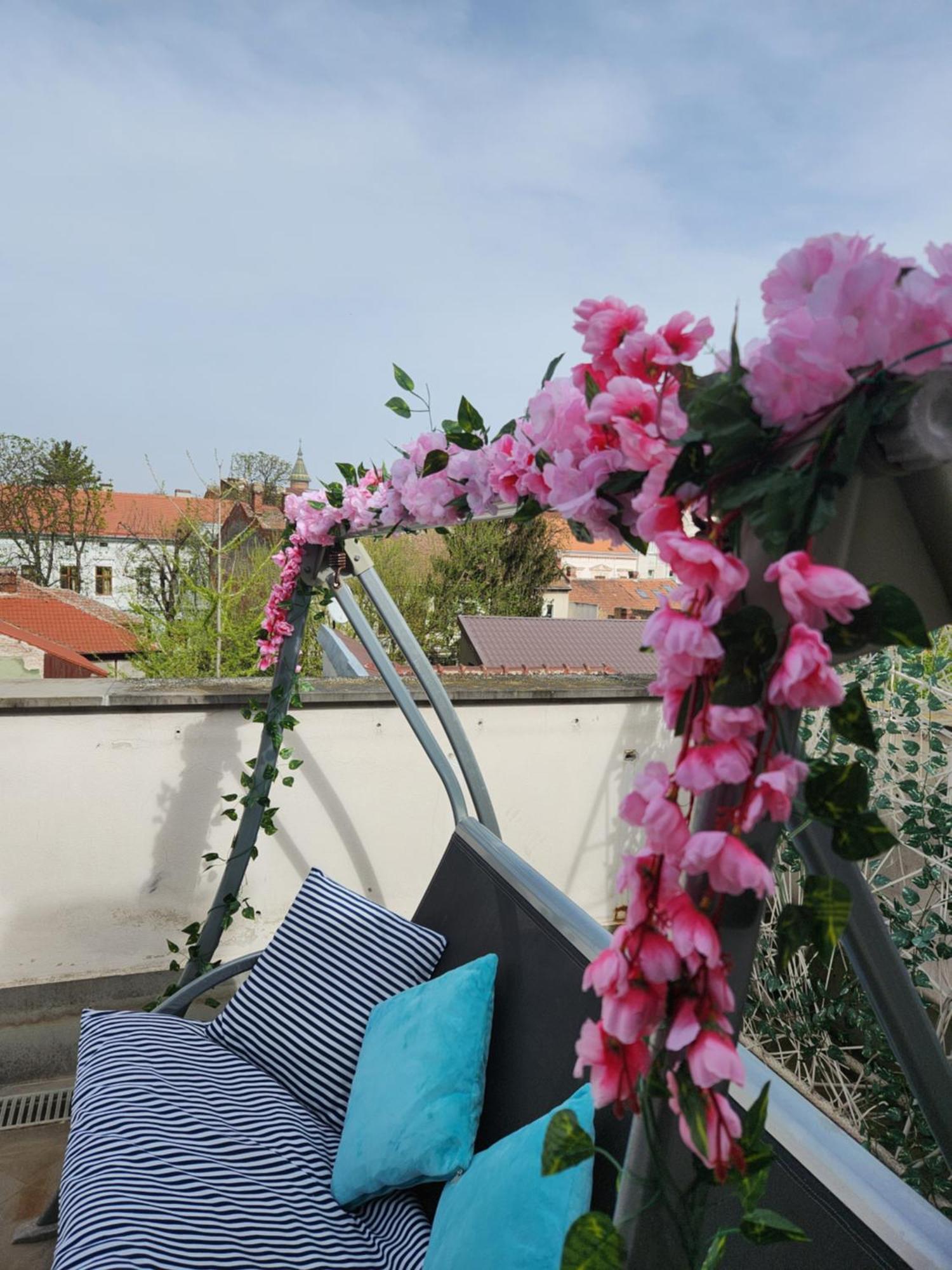 Central, Big Terrace, Near River تيميشورا المظهر الخارجي الصورة