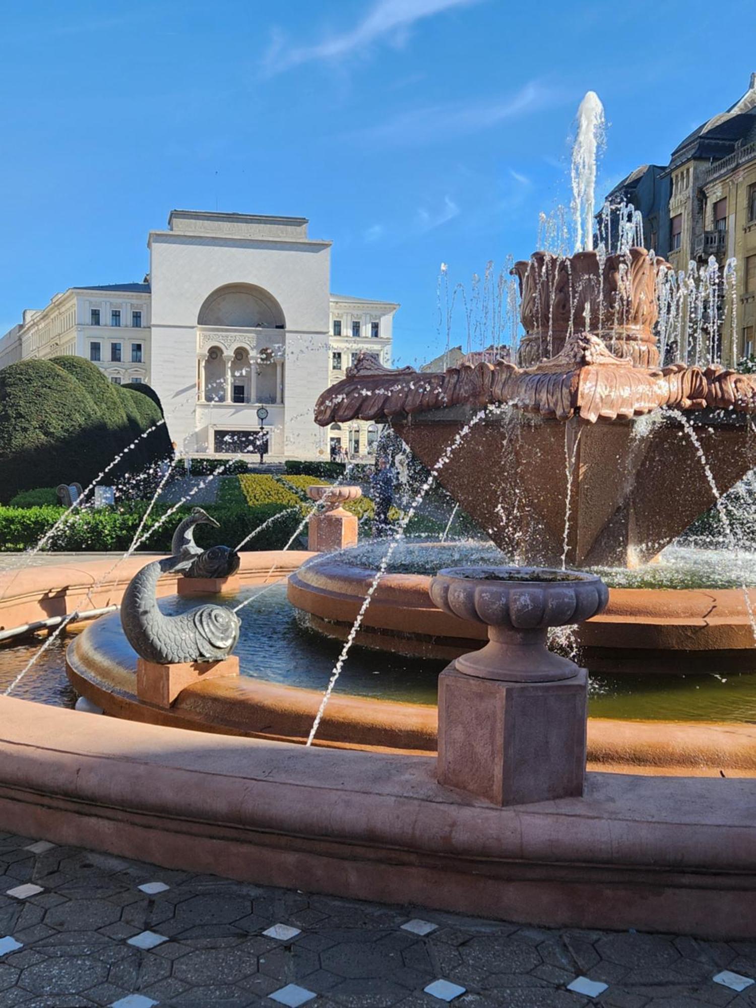 Central, Big Terrace, Near River تيميشورا المظهر الخارجي الصورة